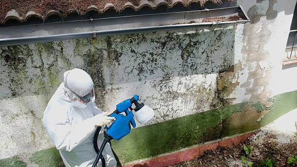 Trusted Commercial Mold Remediation service in Richwood, NJ - Cheap Mold Removal
